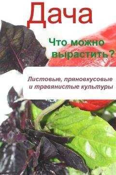 Илья Мельников - Что можно вырастить? Листовые, пряновкусовые и травянистые культуры