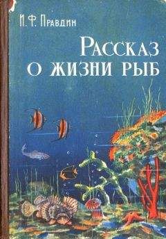 Иван Правдин - Рассказ о жизни рыб