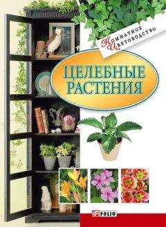 Татьяна Дорошенко - Целебные растения