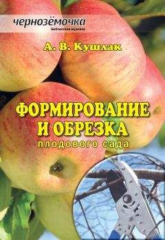 Алексей Кушлак - Формирование и обрезка плодового сада