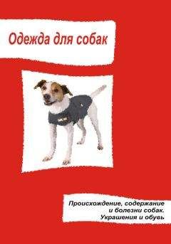 Илья Мельников - Одежда для собак. Происхождение, содержание и болезни собак. Украшения и обувь