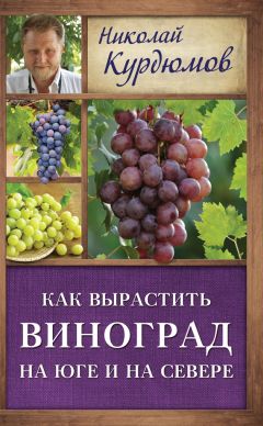 Николай Курдюмов - Как вырастить виноград на Юге и на Севере