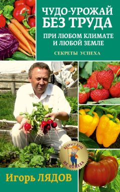 Игорь Лядов - Чудо-урожай без труда. При любом климате и любой земле. Секреты успеха