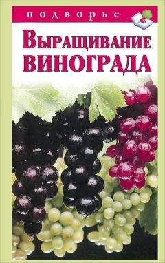 Виктор Горбунов - Выращивание винограда
