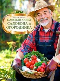 Анатолий Миронов - Большая книга садовода и огородника