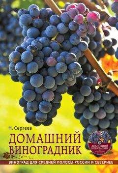 Николай Сергеев - Домашний виноградник