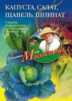 Николай Звонарев - Капуста, салат, щавель, шпинат. Сажаем, выращиваем, заготавливаем, лечимся