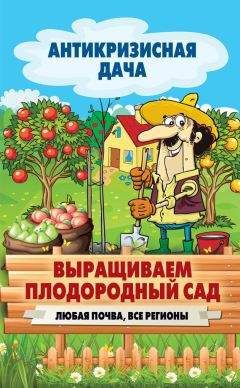 Сергей Кашин - Выращиваем плодородный сад. Любая почва, все регионы
