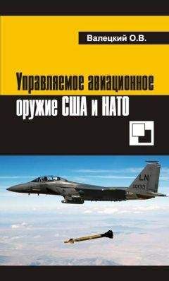 Олег Валецкий - Управляемое авиационное оружие США и НАТО