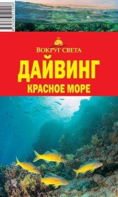 Андрей Рянский - Дайвинг. Красное море