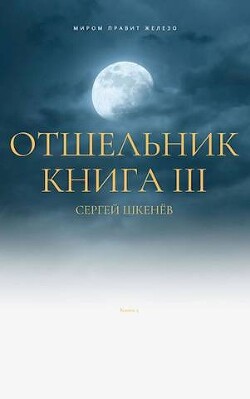 Отшельник Книга 3 (СИ) - Шкенёв Сергей Николаевич